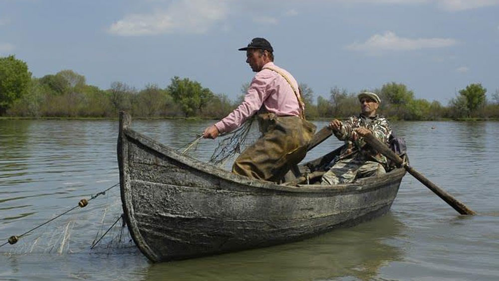 Pescarii din Deltă solicită reluarea pescuitului pe Braţul Chilia