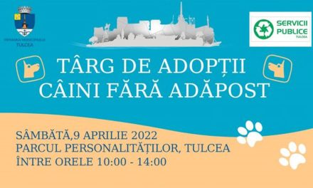 Tulcenii, invitaţi în Parcul Personalităţilor să adopte câini