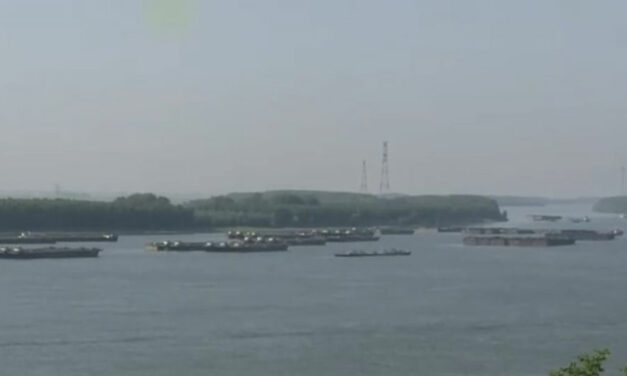 Portul Sulina, blocat de peste 70 de nave ucrainene cu marfă