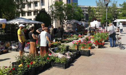 Târg de flori, ateliere de creaţie şi activităţi umanitare, în Piaţa Civică