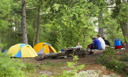 Fără campinguri oficiale în pădurile tulcene