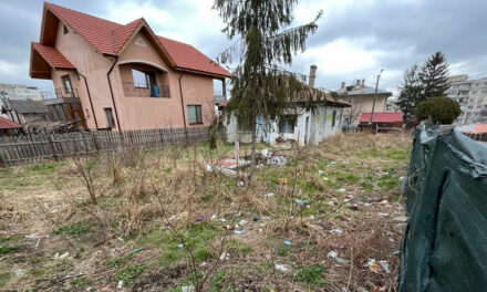 Primăria Tulcea face curat în curtea unor proprietari de terenuri din municipiu