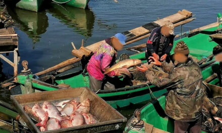 Război între două instituţii ale statului pentru peştele din Delta Dunării