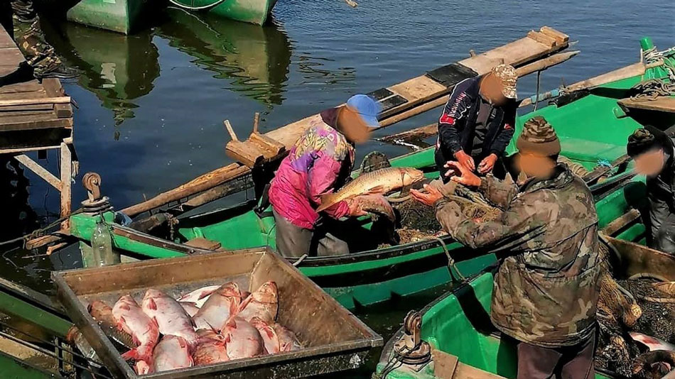 Război între două instituţii ale statului pentru peştele din Delta Dunării
