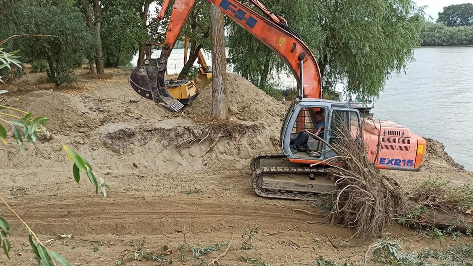 Lucrări penale în zona “7 ţevi”: arbori distruşi fără autorizaţia Direcţiei Silvice Tulcea