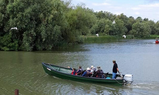 Turişti puţini, preţuri mari. Sezonul estival înoată greu în Delta Dunării