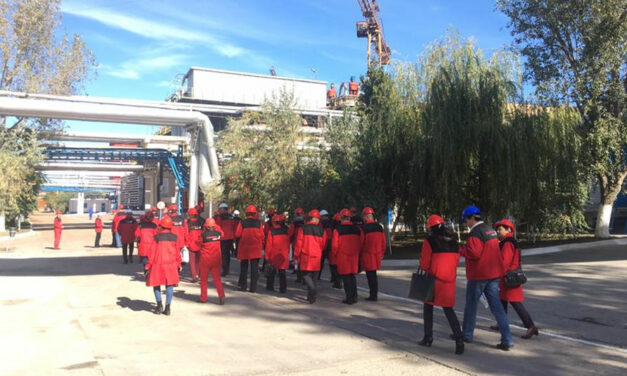 Sindicalişti ai Alum Tulcea protestează mâine la Bucureşti