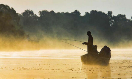 Creşterea amenzilor aplicate în Deltă, contestată de pescarii amatori
