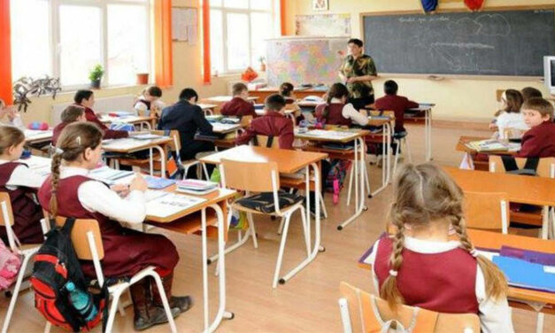 Elevi din SUA, Egipt, Siria sau Italia s-au întors în şcoli din Tulcea