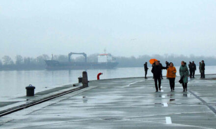 Portul Isaccea, modernizat cu peste 4 milioane de euro: traficul de marfă s-ar putea dubla anul viitor