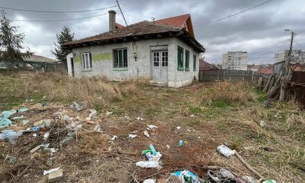 Peste 100 de proprietăţi neîngrijite igienizate de Primăria Tulcea în ultimul an