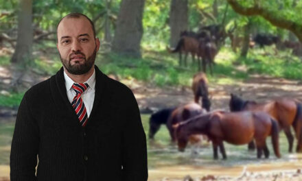 Medicul veterinar Ştefan Răileanu: „Ciparea cailor sălbăticiţi din Deltă înseamnă moartea lor”