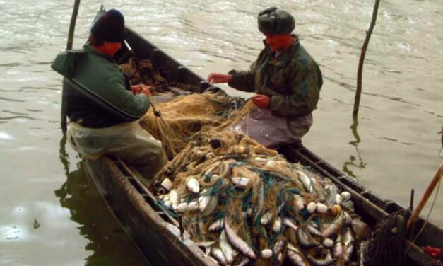 Pescarii comerciali din Chilia Veche vor centru local de colectare şi vânzare a peştelui