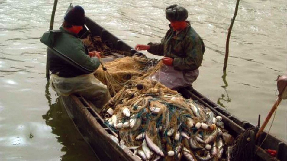 Pescarii comerciali din Chilia Veche vor centru local de colectare şi vânzare a peştelui