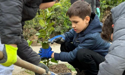 „Săptămâna verde”: elevi ai Şcolii „Alexandru Ciucurencu” au plantat 50 de arbuşti