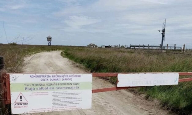 Federaţia Coaliţia Natura 2000 România se opune construirii unui parc de turbine eoliene în Delta Dunării