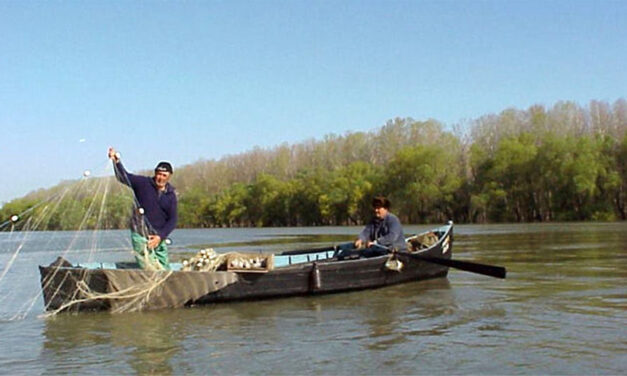 Capturi mici de peşte în Delta Dunării