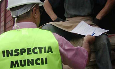 Zece persoane prinse muncind la negru în Tulcea. Patru angajatori amendaţi cu 200.000 lei