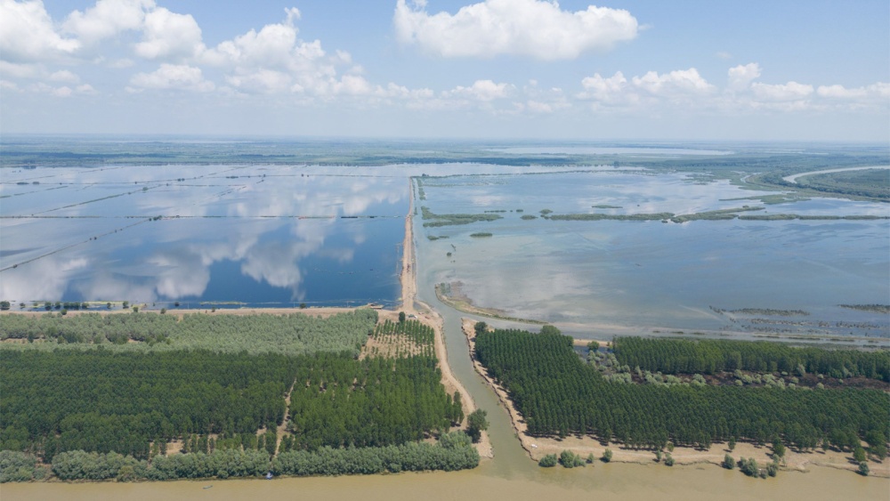 WWF-România: O zonă umedă renaturată din Delta Dunării ar putea fi transformată din nou în teren agricol