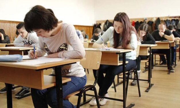 Simulare Bac 2024: Aproape jumătate dintre elevii tulceni au luat note sub 5 la limba română