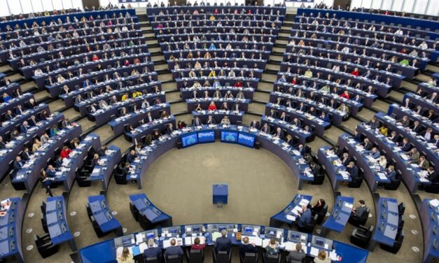 Cinci tulceni candidează la Parlamentul European. Niciunul pe loc eligibil!