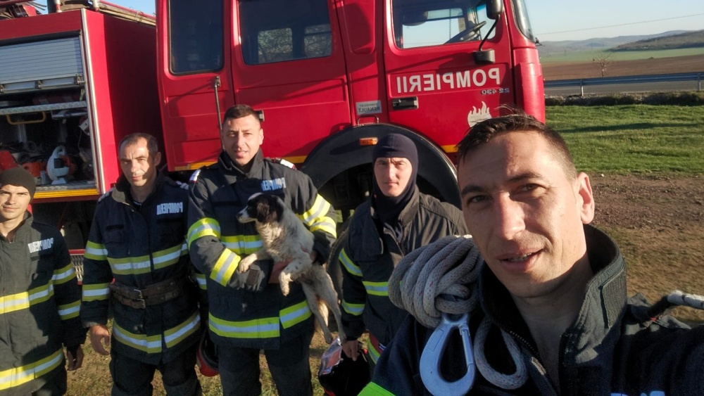Două căţeluşe, salvate de pompieri dintr-un puţ de 8 metri, în Slava Rusă