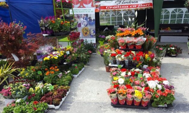 Explozie de flori şi culoare, de mâine, în Piaţa Civică: se deschide Expoflora!