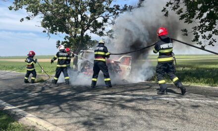 O maşină a lovit un copac şi a luat foc