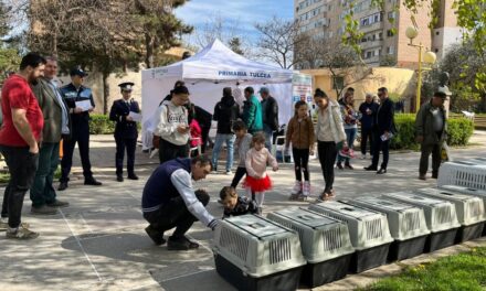 Târg de adopţii pe 1 iunie, la Tulcea: „Un căţel pentru fiecare copil!”