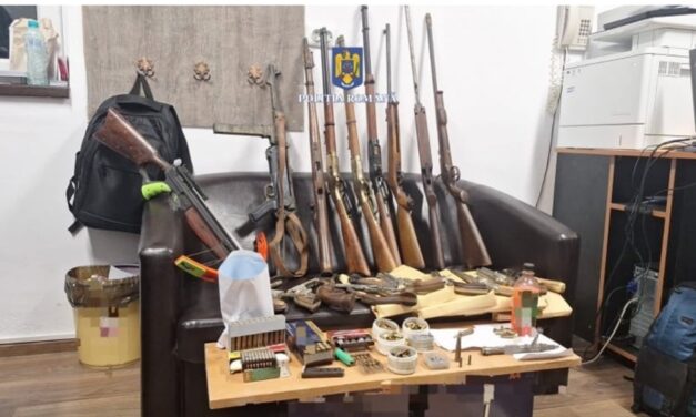 Arme şi muniţii deţinute ilegal, descoperite la Tulcea