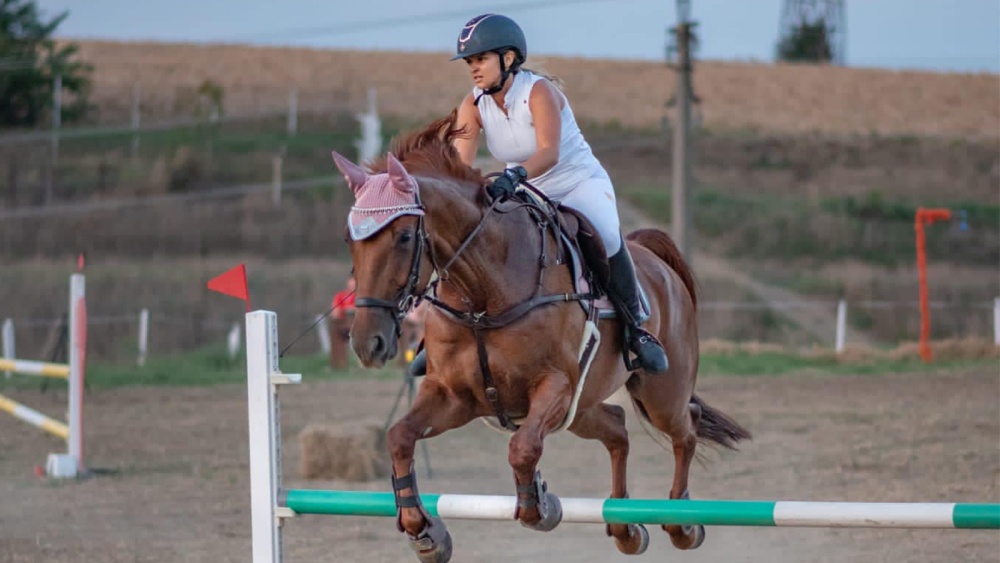 Concursul Aegyssus Horse Show marca Real Racing, în octombrie, la Tulcea