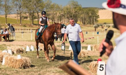 Echitaţie la Porţile Deltei: working equitation, dresaj şi sărituri peste obstacole la Clubul Real Racing