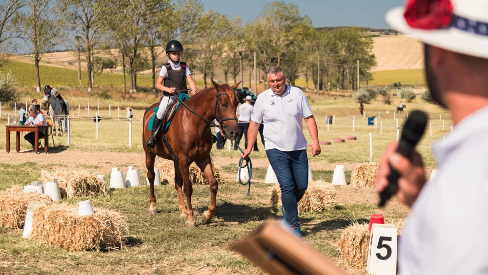 Echitaţie la Porţile Deltei: working equitation, dresaj şi sărituri peste obstacole la Clubul Real Racing