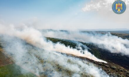 Incendiile de vegetaţie fac ravagii în judeţ