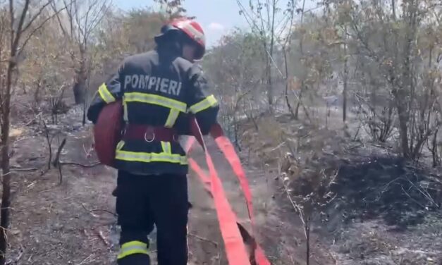 O scânteie provenită de la un aparat de sudură a provocat un incendiu de vegetaţie la Somova