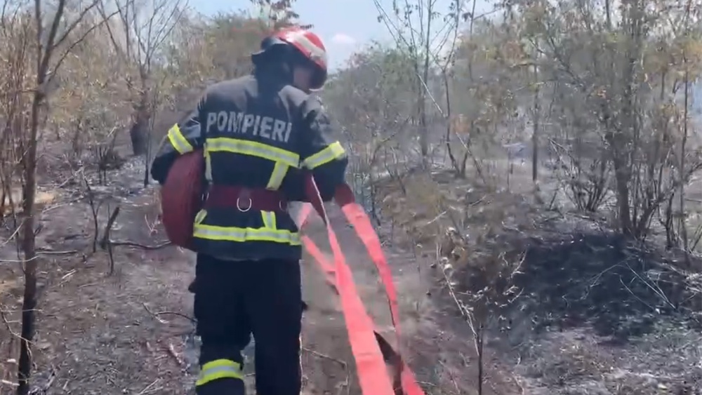 O scânteie provenită de la un aparat de sudură a provocat un incendiu de vegetaţie la Somova