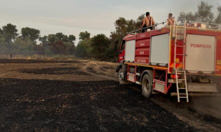 Pompierii voluntari din Chilia Veche, intervenţie promptă la incendiul din zona Ostrov Tatanir