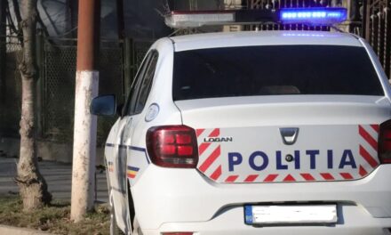 Două persoane rănite într-un accident rutier produs între Tulcea şi Malcoci