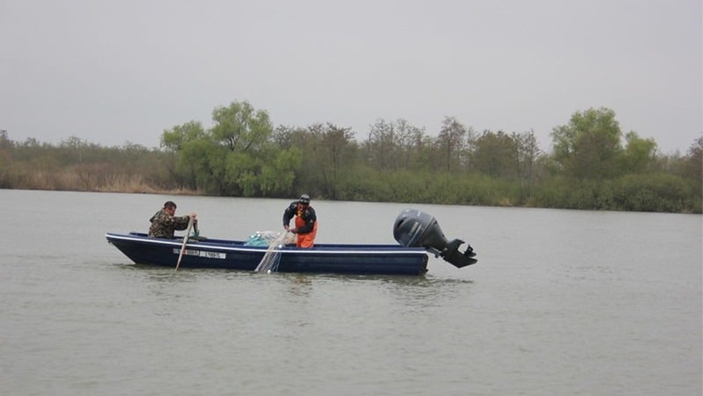 Pescarii din Sfântu Gheorghe acuză că sunt obligaţi să vândă peştele către cherhanale şi apoi să-l cumpere înapoi