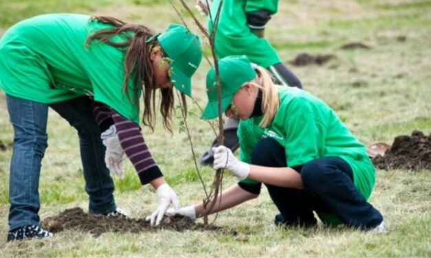 „Ziua Verde”, iniţiativa DeltaPedia de a „înverzi” municipiul Tulcea