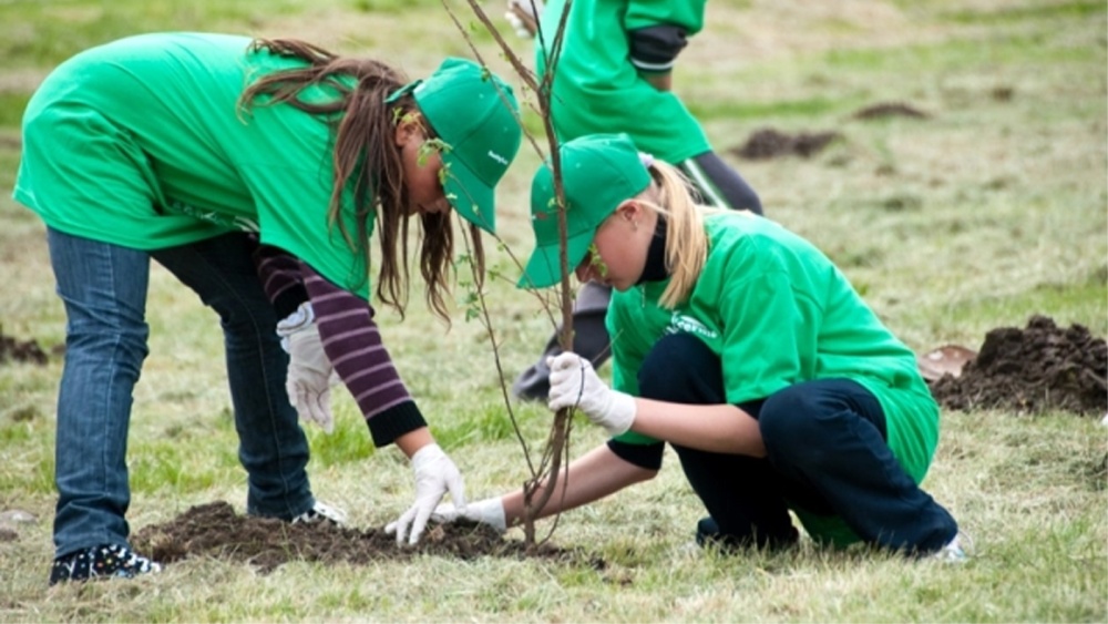 „Ziua Verde”, iniţiativa DeltaPedia de a „înverzi” municipiul Tulcea