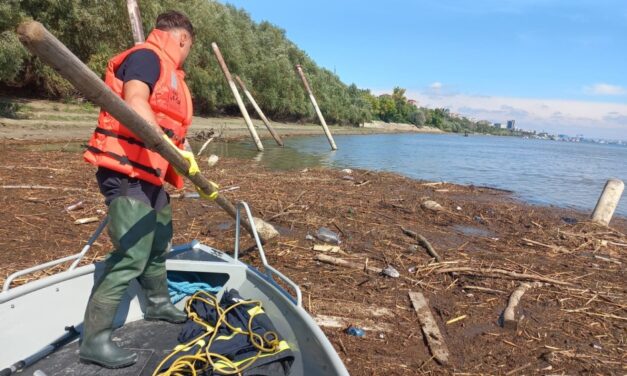 Leşurile animalelor ucise de viituri ar putea ajunge în Delta Dunării: risc de contaminare