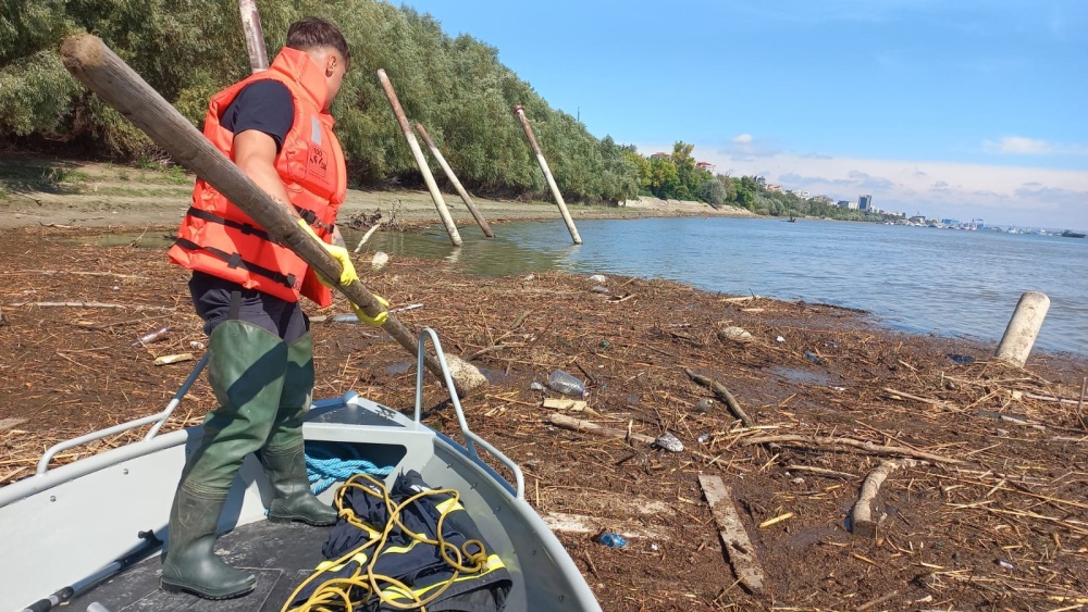 Leşurile animalelor ucise de viituri ar putea ajunge în Delta Dunării: risc de contaminare