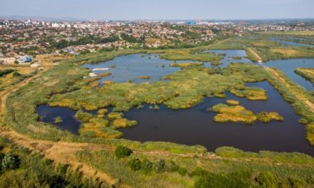 Şapte „păduri urbane” cu peste 2,4 milioane de arbori, în municipiul Tulcea