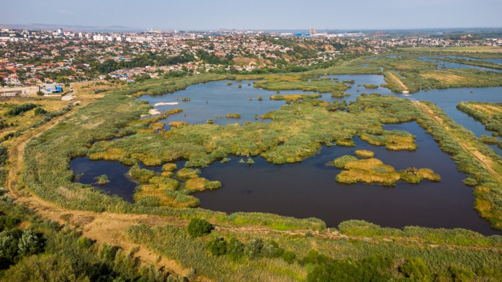 Şapte „păduri urbane” cu peste 2,4 milioane de arbori, în municipiul Tulcea