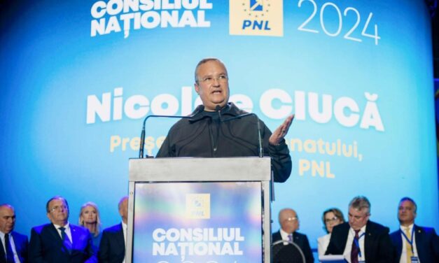 Nicolae Ciucă, desemnat candidatul PNL la prezidențiale: Voi fi în slujba țării, în slujba românilor