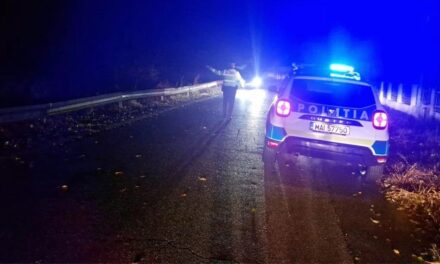 Accident rutier cu trei victime între Turcoaia şi Cerna