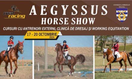 Aegyssus Horse Show: Cursuri cu antrenori externi, clinică de dresaj şi working equitation în penultimul weekend din octombrie