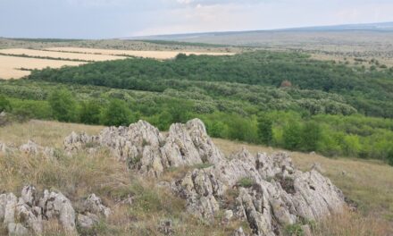 Multe restricţii, puţine beneficii: ariile naturale protejate dau bătăi de cap primarilor tulceni