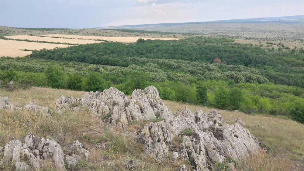 Multe restricţii, puţine beneficii: ariile naturale protejate dau bătăi de cap primarilor tulceni